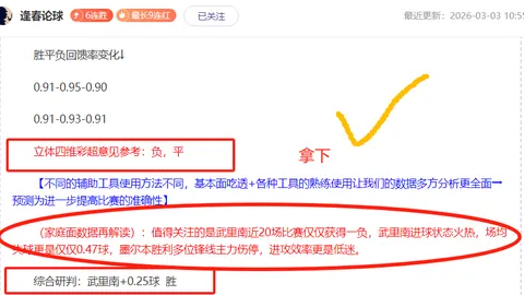 墨联11胜9：专家解析大乐透期号质合推荐