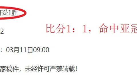 2025重庆国际马拉松大赛拉开序幕
